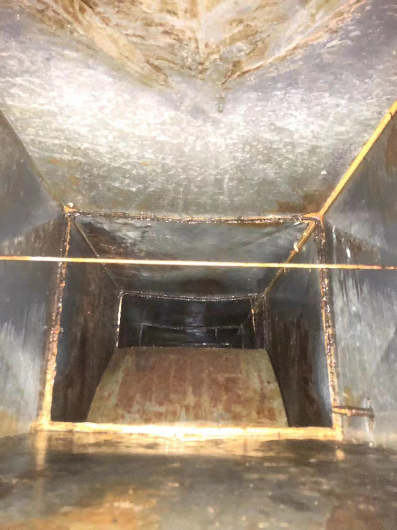 �����������̵�����